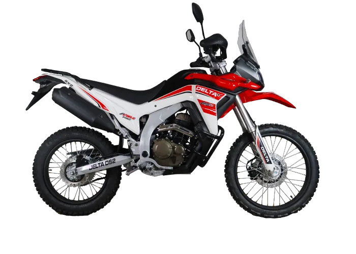 دلتا رالی DS2 249